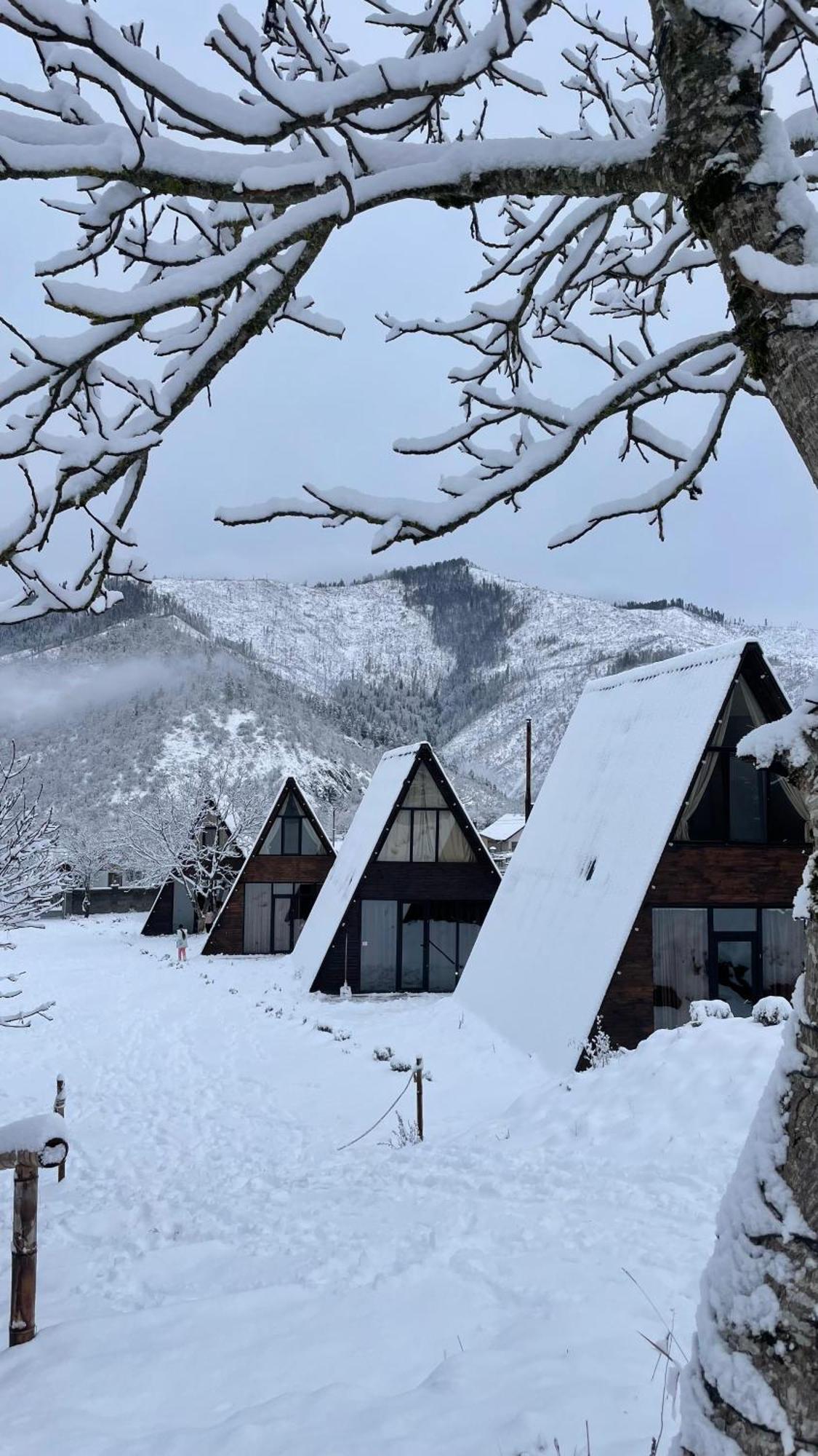 Landhaus Боржоми Экстерьер фото