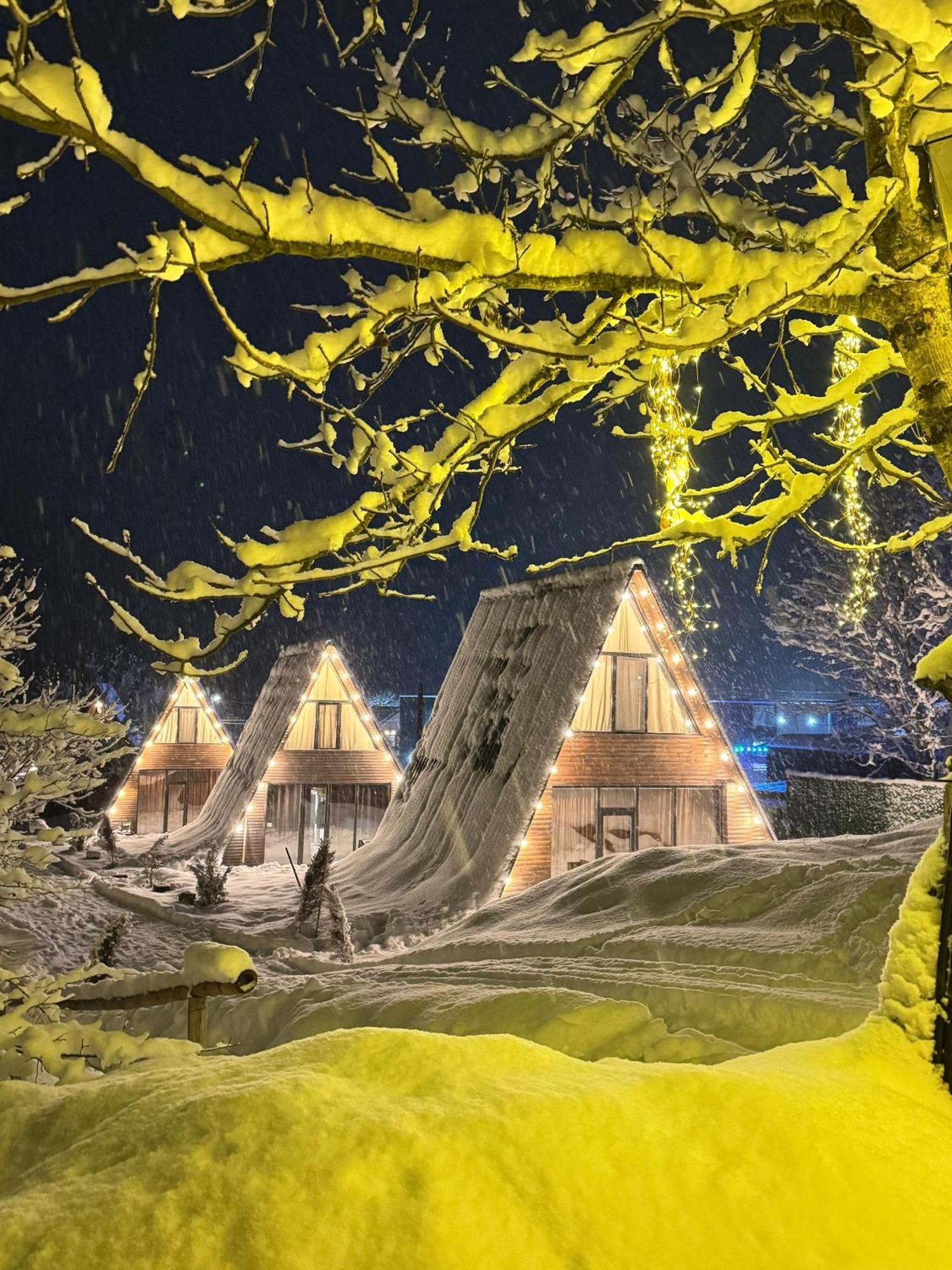 Landhaus Боржоми Экстерьер фото